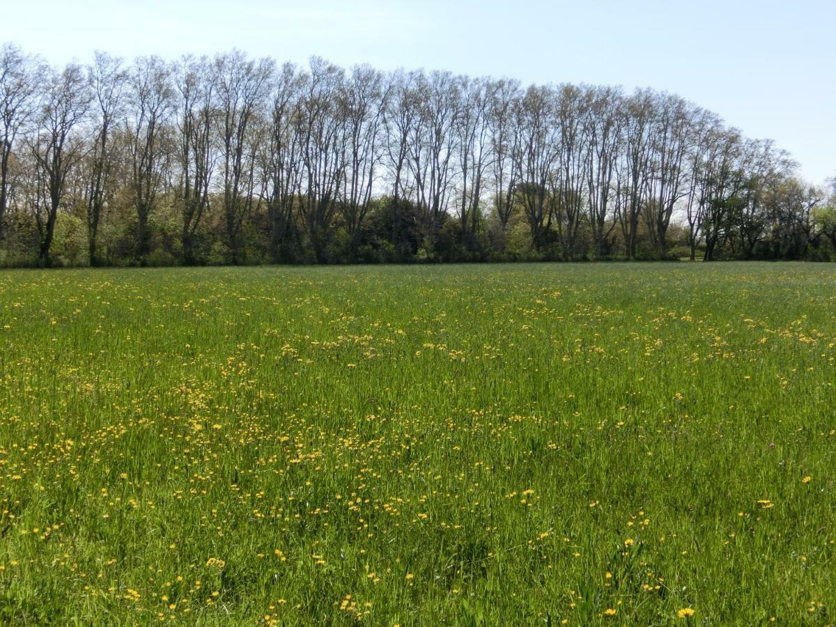 Gite Du Gardien Saint-Martin-de-Crau Exterior foto